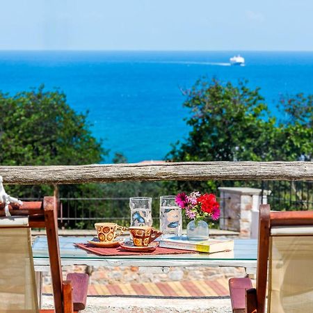 Naiades Superior Apartments In Skopelos With Sea View Close To The Town Dış mekan fotoğraf